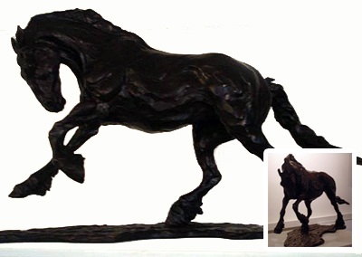 Study of a horse by Siobhan Bulfin