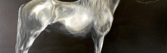 Paso, Oil on Canvas, 73 x 100cm
