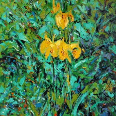 Wild Iris by Michael Flaherty: Irish Art by Greenlane Gallery Dingle