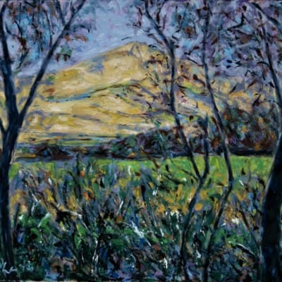 Hill with Trees, Teer, Brandon by Michael Flaherty: Irish Art by Greenlane Gallery Dingle