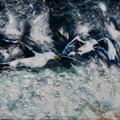 Gulls in the storm, Fermoyle by Michael Flaherty: Irish Art by Greenlane Gallery Dingle