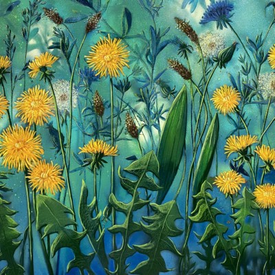   Wild meadow dandelions by Kathrine Geoghegan: Irish Art by Greenlane Gallery Dingle