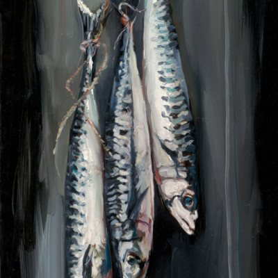 Atlantic Mackerel by Gerard Byrne: Irish Art by Greenlane Gallery Dingle