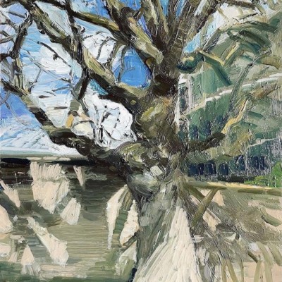 Tree CCJ, Parkgate st by Maev Kelly: Irish Art by Greenlane Gallery Dingle